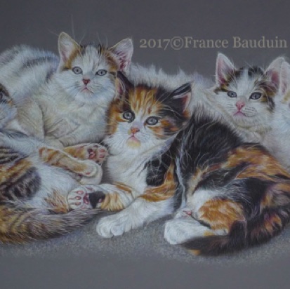 Precious Moments - 86 hours
Elephant Colourfix Smooth
16.5" x 26.5"
Laila's 7th litter - 2015 Precious Moments - 86 hours
Elephant Colourfix Smooth
16.5" x 26.5"
Laila's 7th litter - 2015